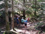 IMG_20200805_122447.jpg